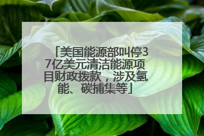 美国能源部叫停37亿美元清洁能源项目财政拨款，涉及氢能、碳捕集等